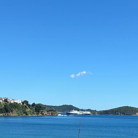 Angeliki Beach Hotel 메갈리 아모스 외부 사진