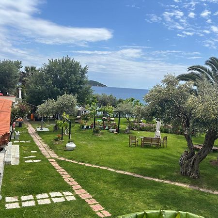 Angeliki Beach Hotel 메갈리 아모스 외부 사진